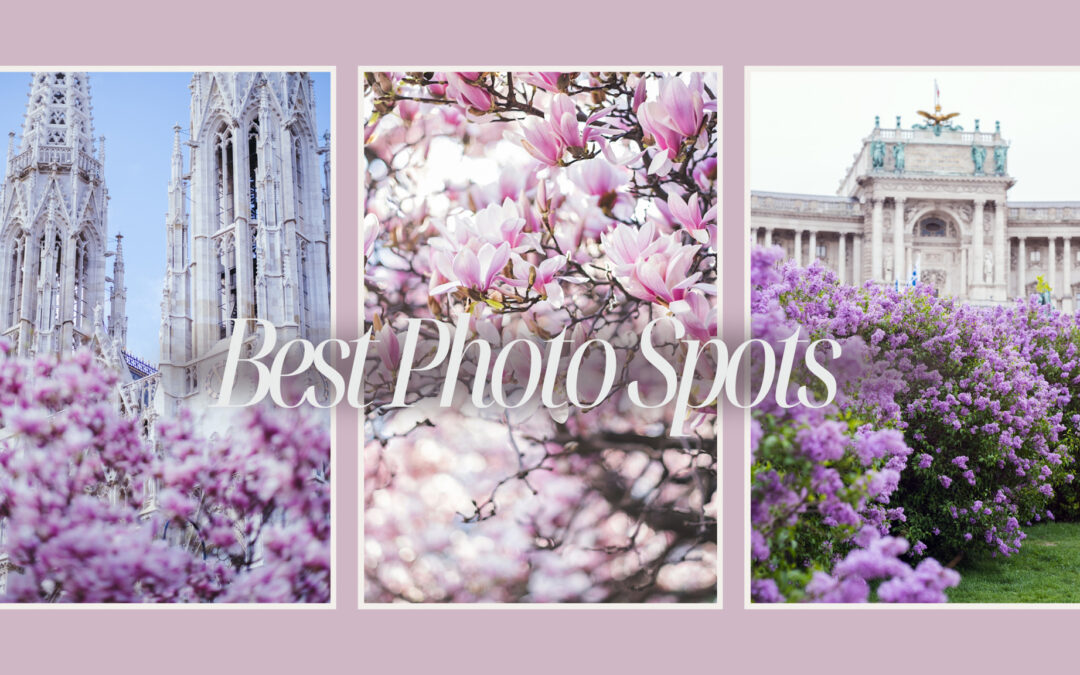 Vienna’s Dreamiest Hidden Spring Blossom Locations